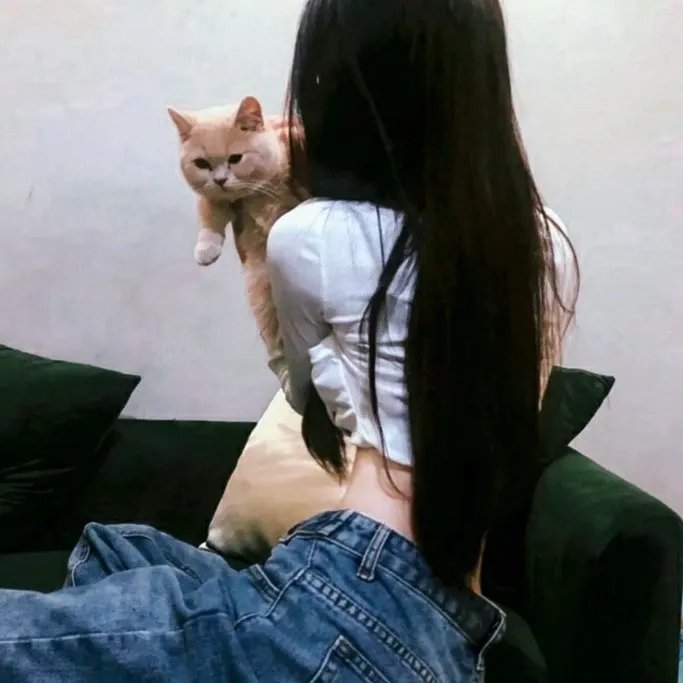 阿拉丁和大盗之王